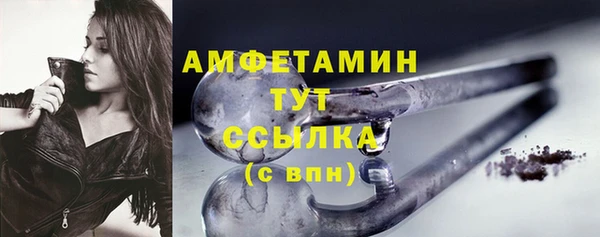 прущий лед Новозыбков