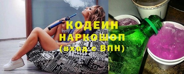 прущий лед Новозыбков