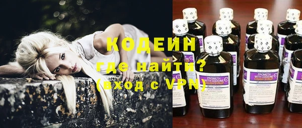 прущий лед Новозыбков