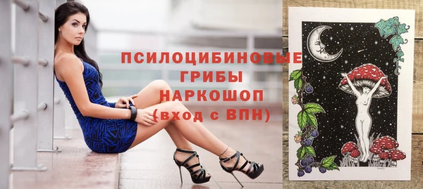 прущий лед Новозыбков