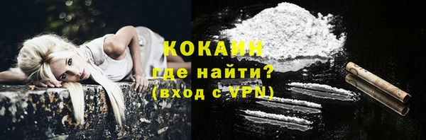 прущий лед Новозыбков