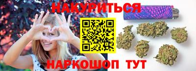 spice Гай