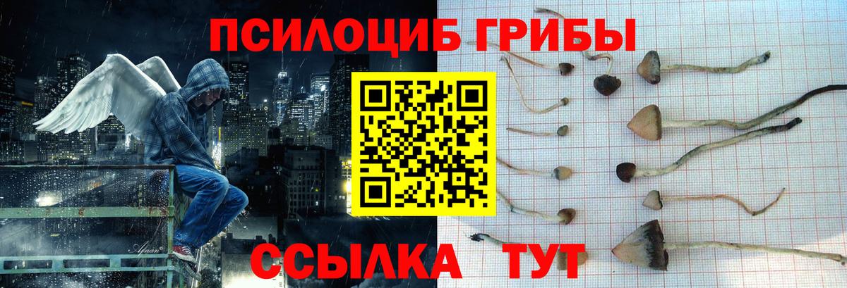 Псилоцибиновые грибы MAGIC MUSHROOMS  Псилоцибиновые грибы Cubensis  Лиски 