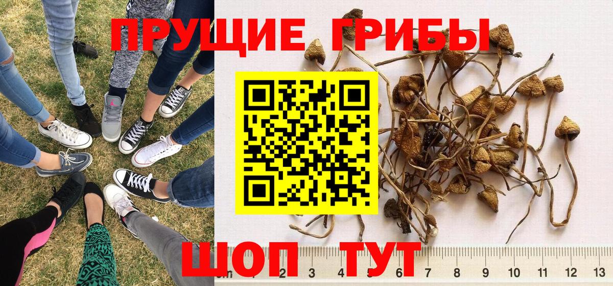 Лиски  Галлюциногенные грибы мицелий  Вход с VPN 