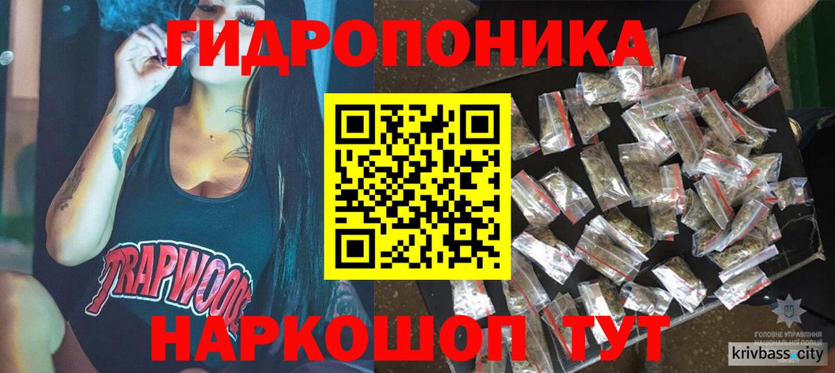 Каннабис Amnesia  Лиски  Марихуана OG Kush  Марихуана сатива 